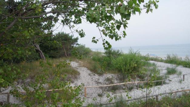 Côte de la presque-île d’Hel donnant sur la mer baltique.